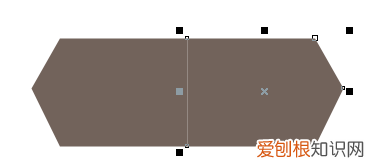 cdr镜像复制的操作过程，镜像复制图形对象的方法