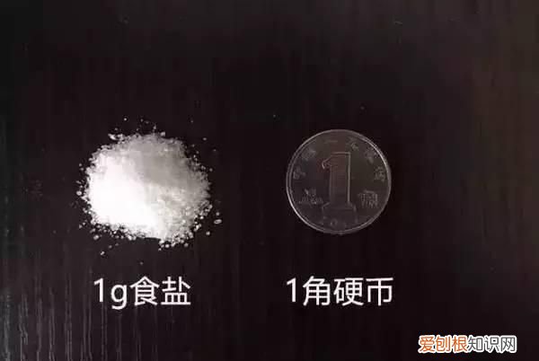 100克盐含多少钠 1克盐有多少克钠