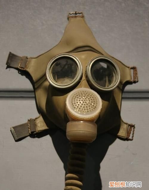 防毒面具的由来，防毒面具为什么要设计成“猪鼻子”的形状