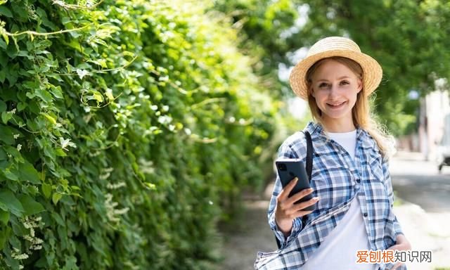 自媒体短是做什么的