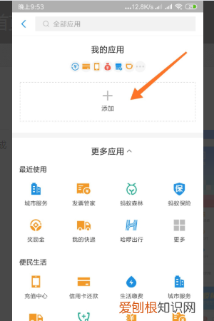 支付宝首页怎么添加应用，支付宝如何添加授权应用