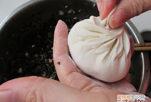 马齿苋包子的做法,马齿苋又称长寿菜包子怎么做才好吃