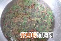 马齿苋包子的做法,马齿苋又称长寿菜包子怎么做才好吃