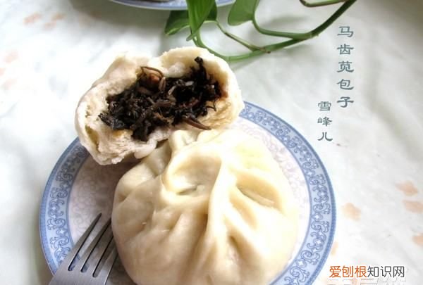 马齿苋包子的做法,马齿苋又称长寿菜包子怎么做才好吃