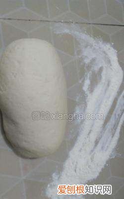 马齿苋包子的做法,马齿苋又称长寿菜包子怎么做才好吃