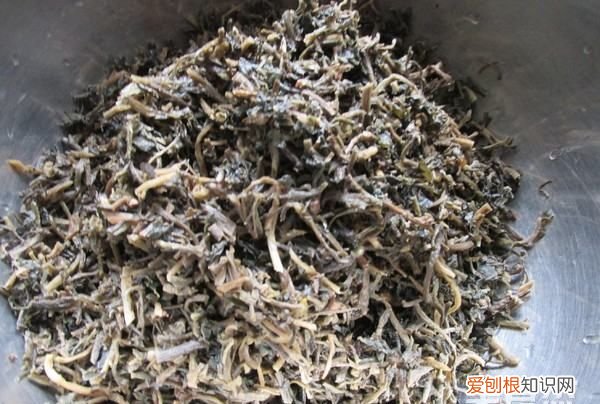 马齿苋包子的做法,马齿苋又称长寿菜包子怎么做才好吃