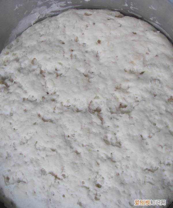 马齿苋包子的做法,马齿苋又称长寿菜包子怎么做才好吃