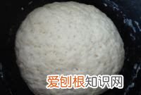 马齿苋包子的做法,马齿苋又称长寿菜包子怎么做才好吃