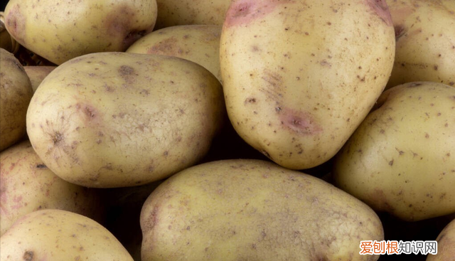 土豆大量怎么保存不放冰箱不发芽,土豆怎么保存不发芽能放冰箱吗