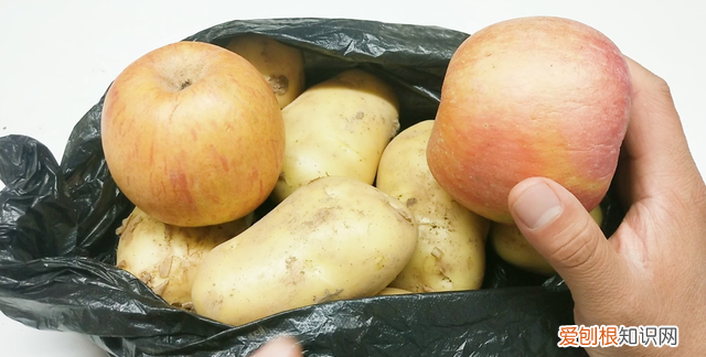 土豆大量怎么保存不放冰箱不发芽,土豆怎么保存不发芽能放冰箱吗