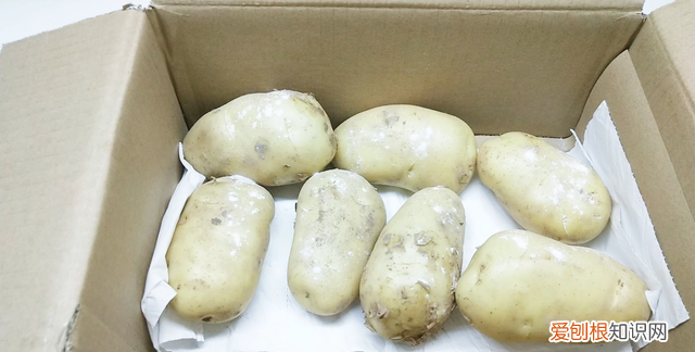 土豆大量怎么保存不放冰箱不发芽,土豆怎么保存不发芽能放冰箱吗