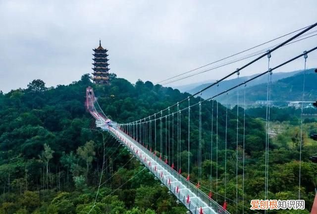 弥勒玻璃桥在哪里