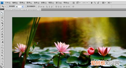 PS应该怎么制作光晕效果