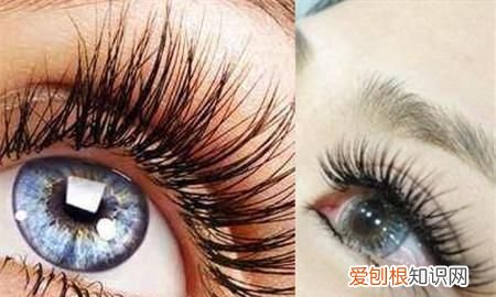 嫁接睫毛怎么卸3大步骤教会你