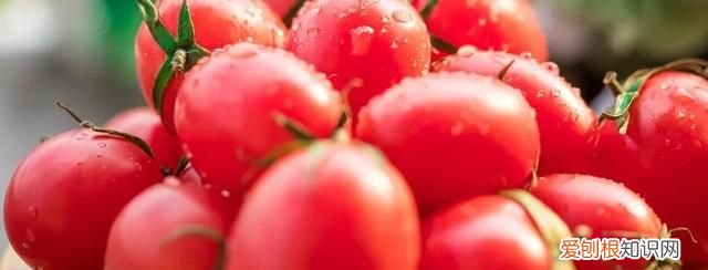 有机和无机有什么区别,哪个好,有机无机复混肥生产用有机原料