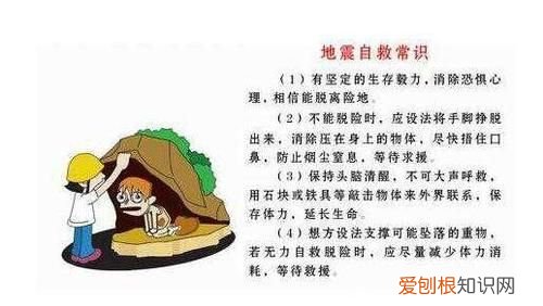 地震的由来，云南省防震减灾宣传日的由来