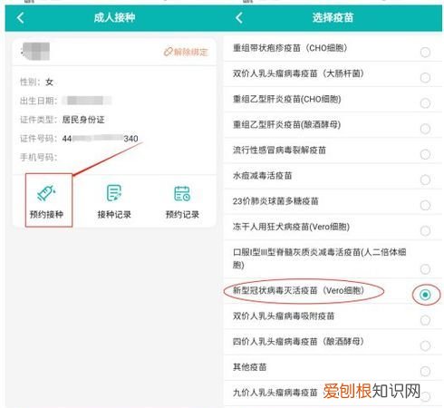 粤苗档案下载到哪里