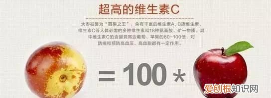 冬枣的功效作用有哪些