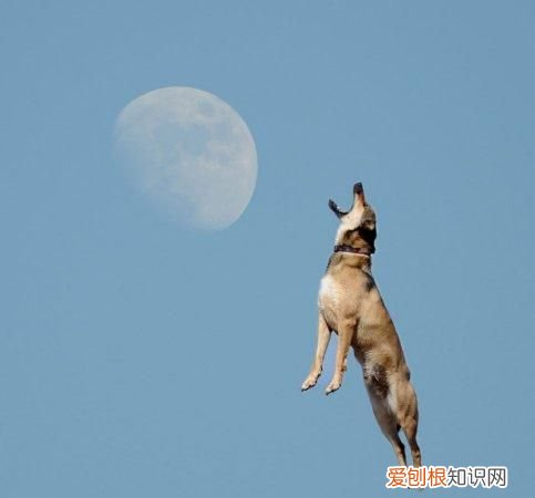 天狗食月是什么现象，天狗吃月是怎么解释的