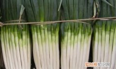 冬天储存大葱怕冻吗，冬天的储存大葱搁外边儿怕冻