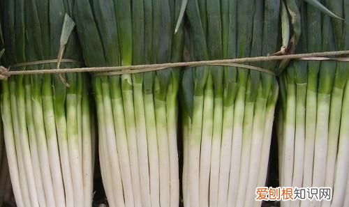 冬天储存大葱怕冻吗，冬天的储存大葱搁外边儿怕冻