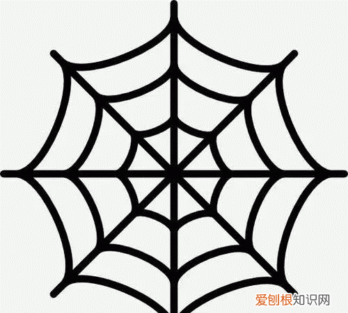 怎么画蜘蛛网，蜘蛛网的图画怎么画