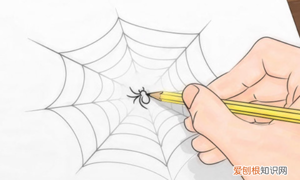 怎么画蜘蛛网，蜘蛛网的图画怎么画