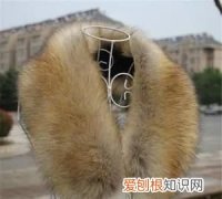 貉子毛领能不能水洗，貉子毛领压扁了怎么办