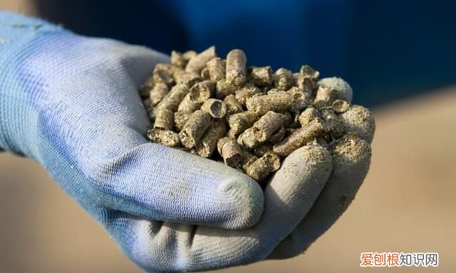 野钓草鱼到底是应该钓底还是钓浮