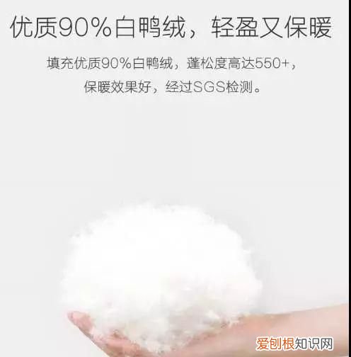 80.90白鸭绒是什么意思，300g90白鸭绒是什么意思