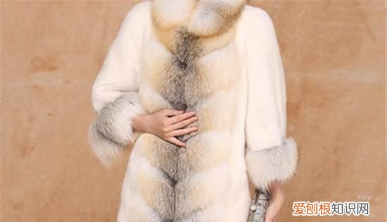 貂绒和貂毛的区别，貂绒和羊毛的区别
