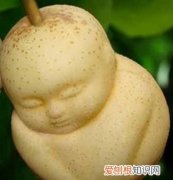 人参果可以加热吃吗