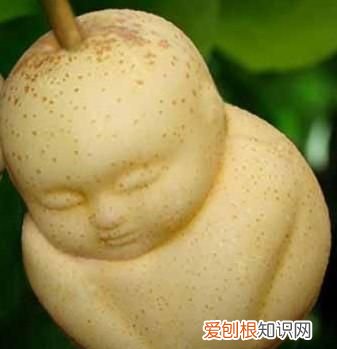 人参果可以加热吃吗