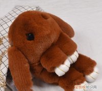 毛茸茸毛绒绒区别，毛茸茸还是毛绒绒咬文嚼字