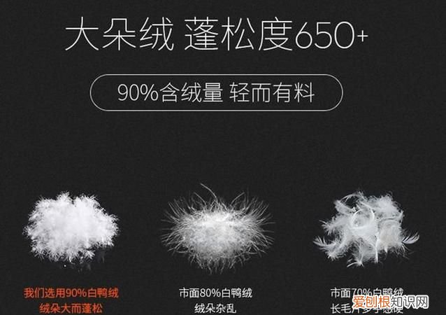 羽绒和鸭绒鹅绒有什么区别，白鸭绒和白鹅绒羽绒服有什么区别