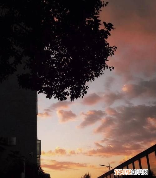 云意出自哪里，晚风知云意出自哪里