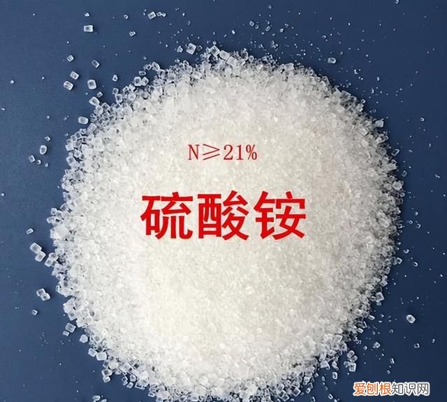 如何区分两种铵态氮肥 常见的铵态氮肥有哪四种