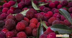 新鲜杨梅放冰箱冷冻,拿出来怎么弄好吃