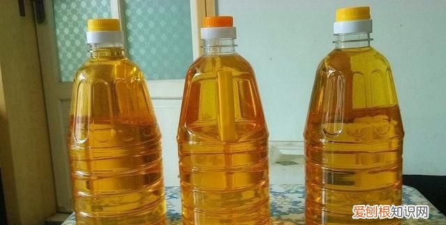 食用油储存多久会变质