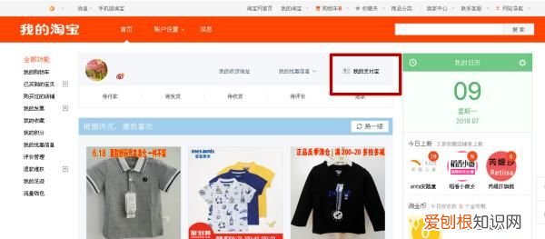 怎么查看支付宝余额，支付宝余额可以咋查看