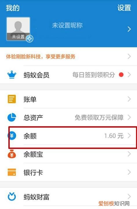 怎么查看支付宝余额，支付宝余额可以咋查看