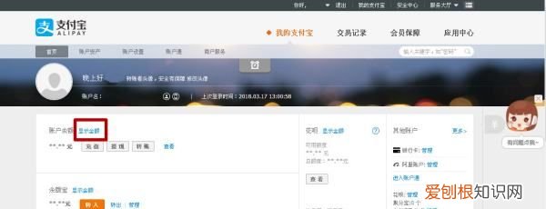 怎么查看支付宝余额，支付宝余额可以咋查看