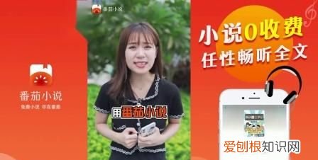 番茄小说封面尺寸多少，番茄小说封面一般多大尺寸