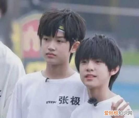 张泽禹和谁是CP，拉乌尔波维是什么