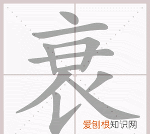 衰怎么读，回乡偶书中衰什么时候改读音？