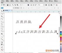 cdr应该如何才可以嵌入图片