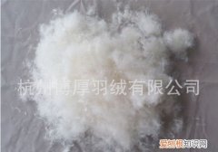 50白鸭绒是什么标准，90白鸭绒是什么档次