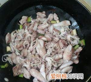 籽乌的做法，香爆籽乌的做法