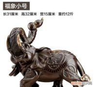 大象代表什么象征，象代表什么象征意义