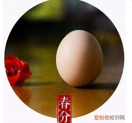 春分的由来，春分节气：春分是哪一天春分的由来及习俗等